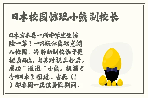 小猪视频免费观看下载大全